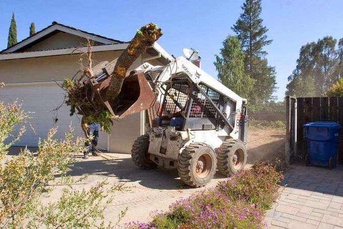 A bobcat is loading a tree branch into its bucket