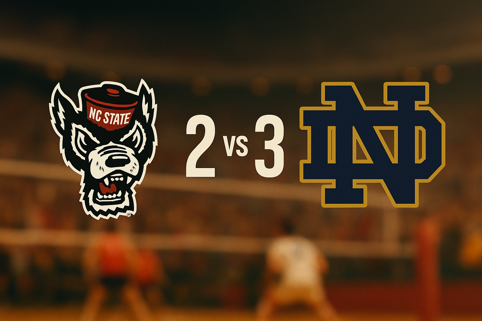 volleyball team logo