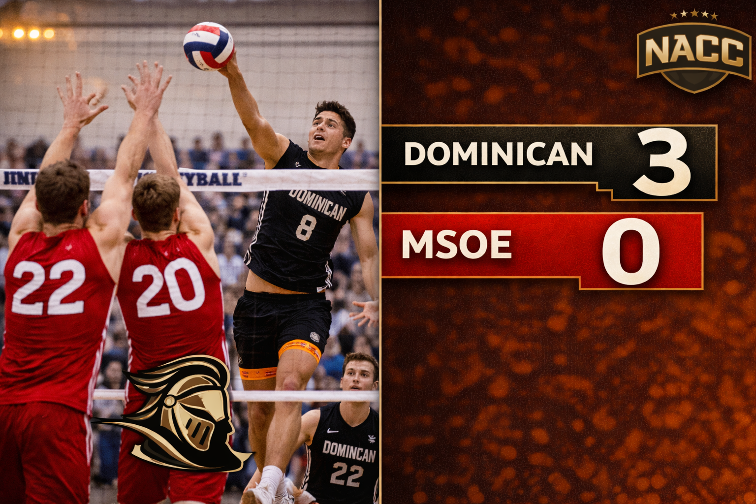 men's volleball players