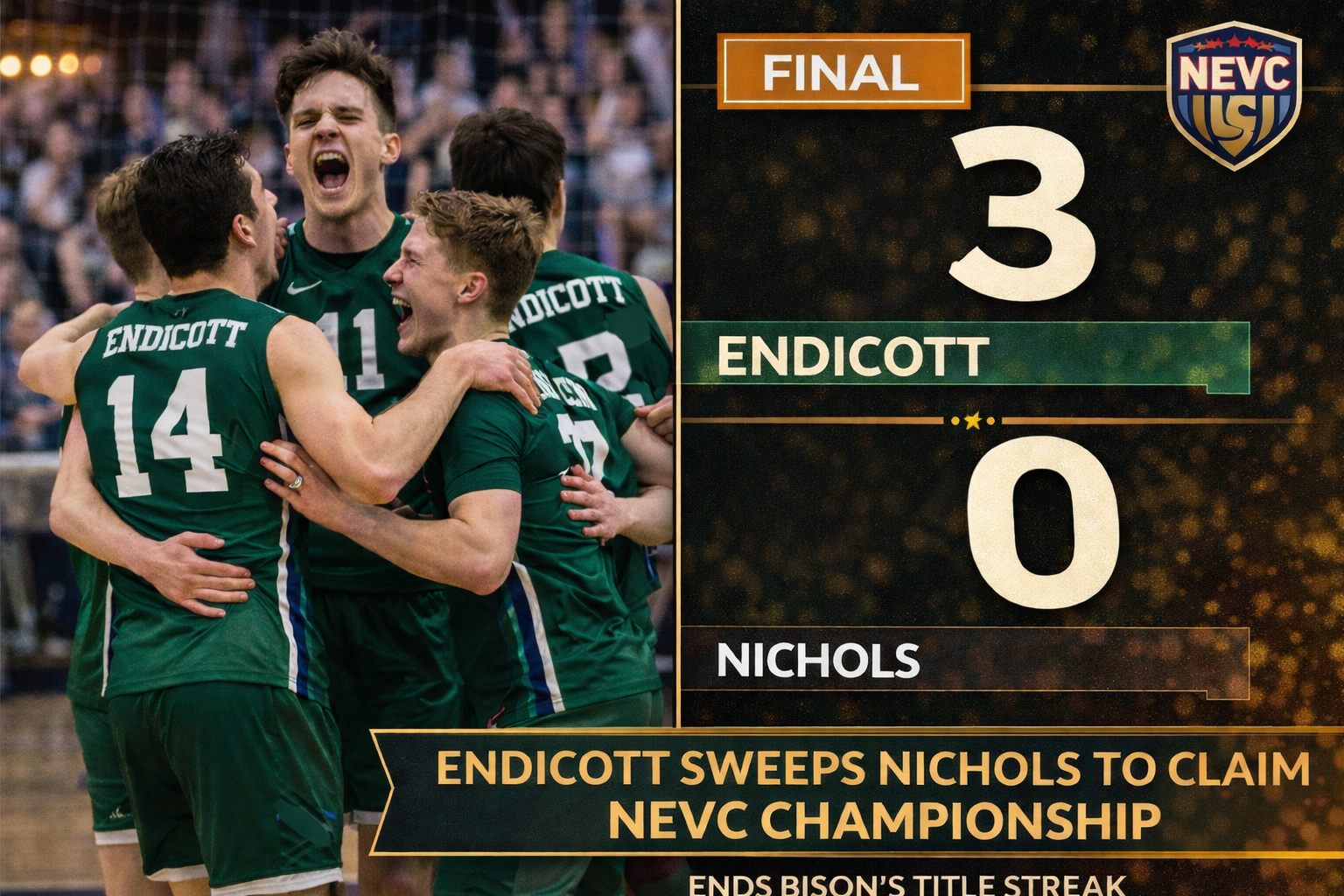 men's volleyball players