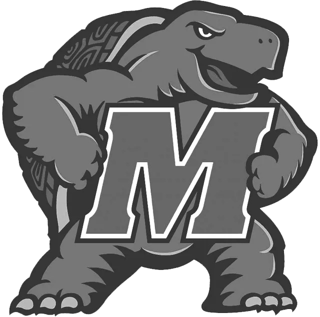 Gray cartoon turtle mascot holding a letter “M.”