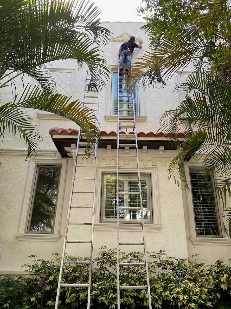 Person on a ladder painting a white stucco building with windows, palm trees frame the structure.