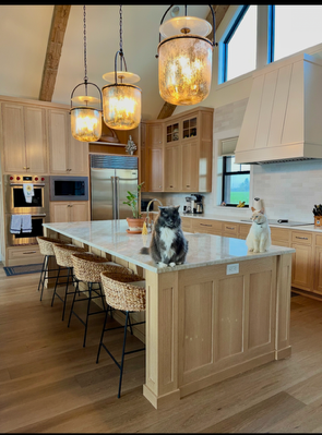 Bright kitchen with wood island, pendant lights, and two cats on the counter