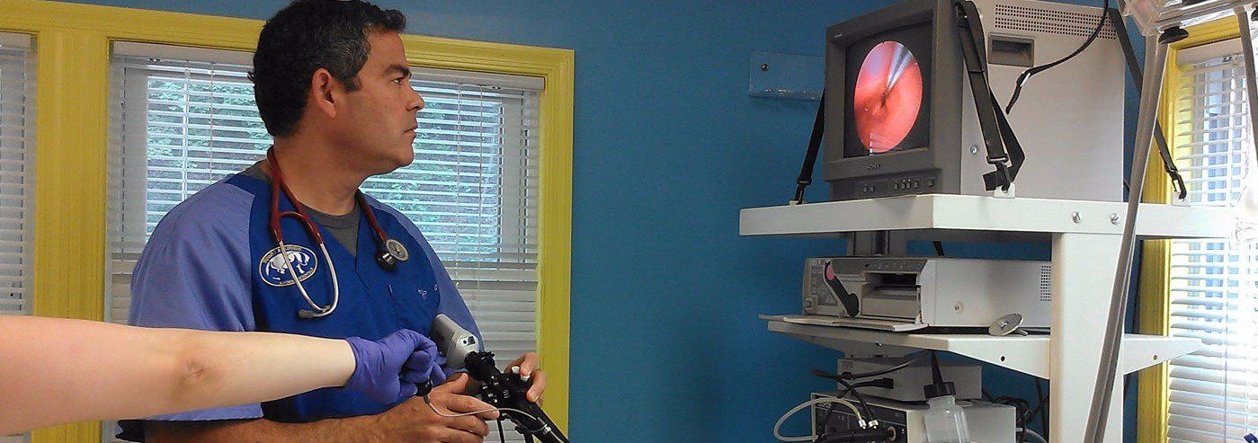 Training veterinarian to use endoscopy unit.