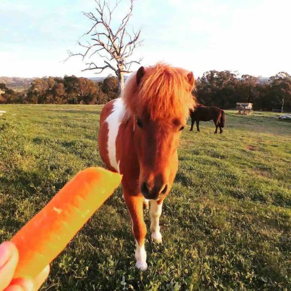 Opportunities to try new activities in a safe environment