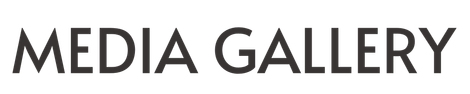 Media Gallery