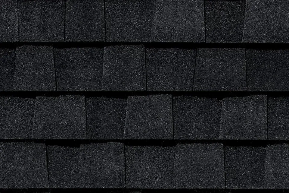 A close up of a black shingle roof.