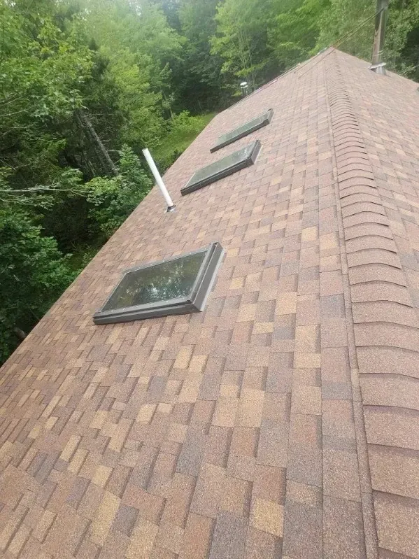A roof with three skylights on it and trees in the background.