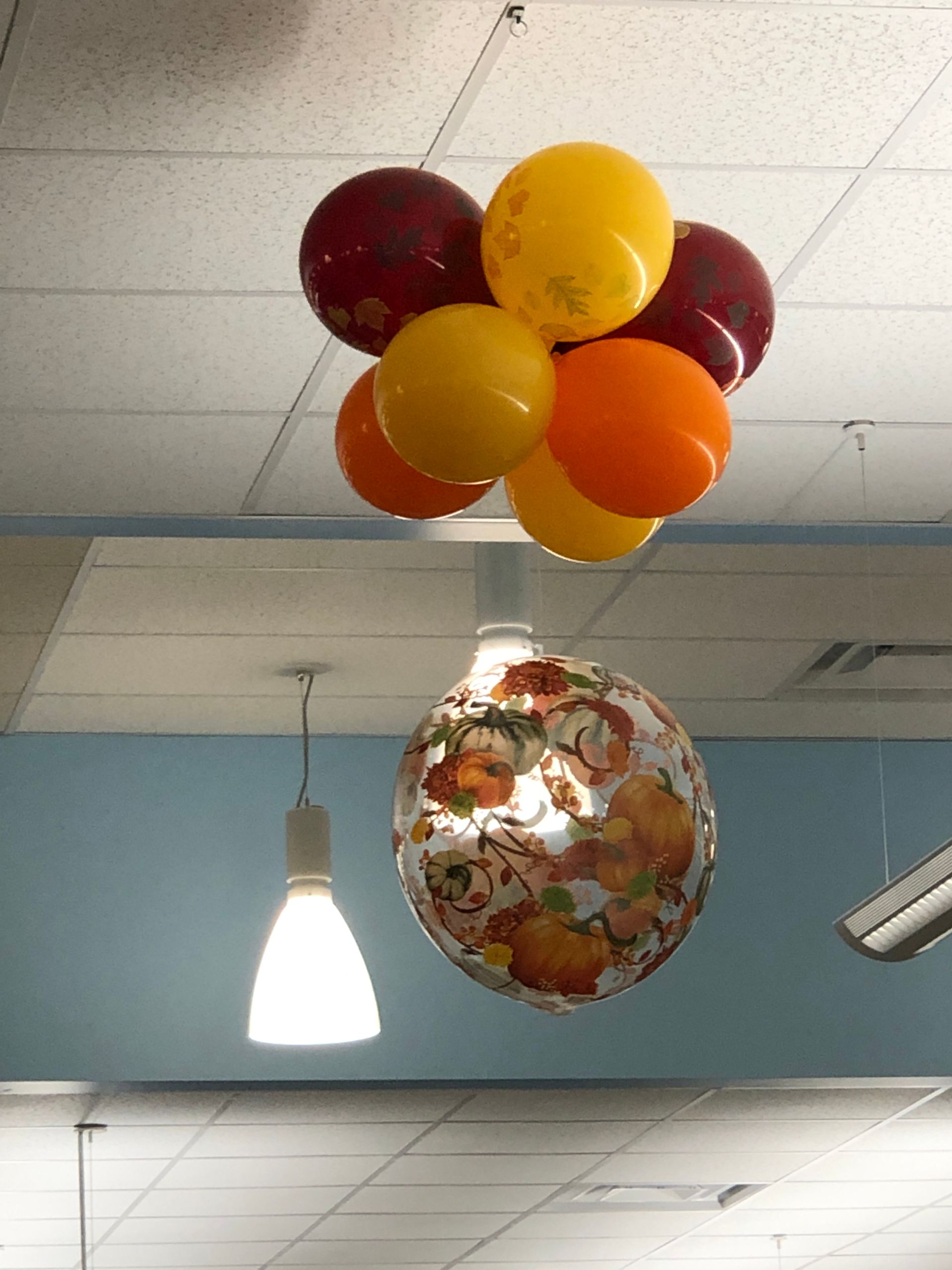 A bunch of balloons are hanging from the ceiling