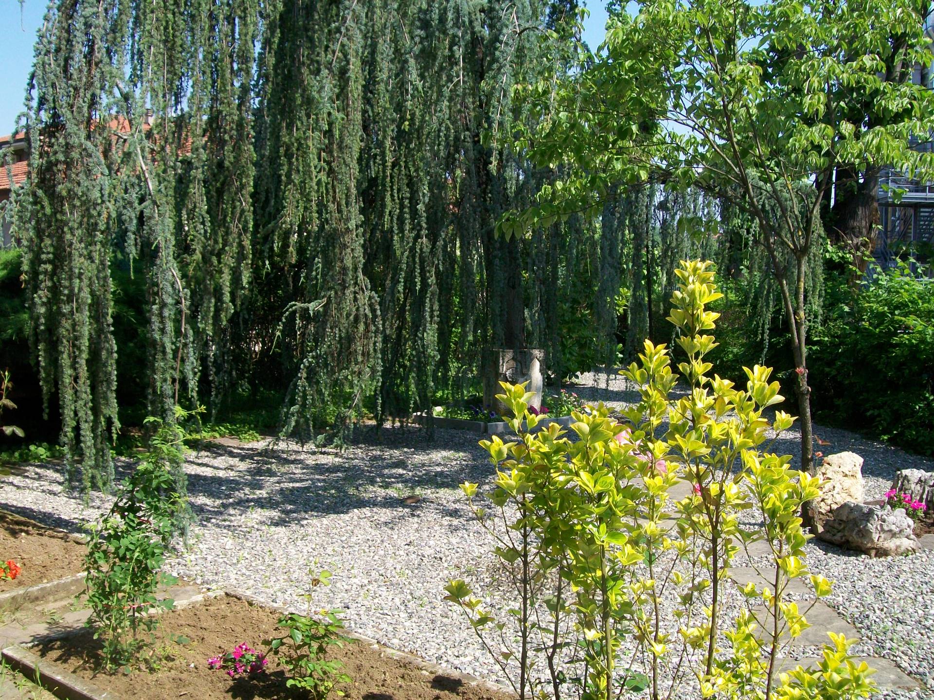 giardino con piante ed alberi