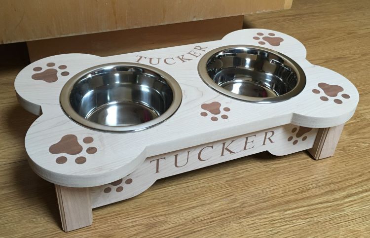 custom dog dish