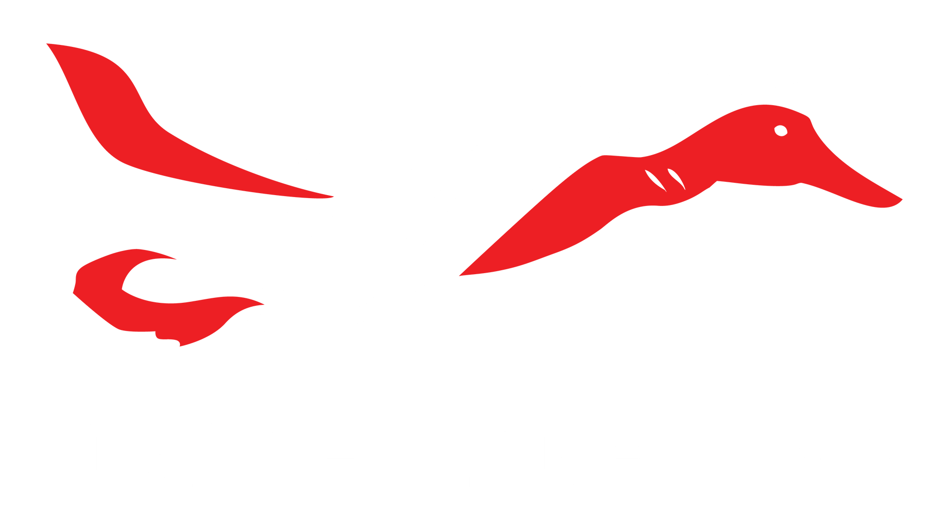 Drake Lighting Footer Logo Obstruction Lighting Footer
