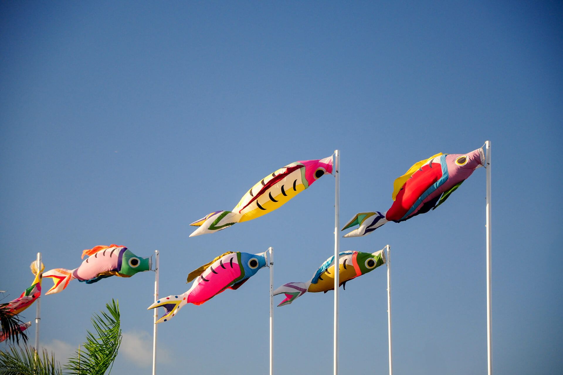 A row of colorful fish kites flying in the wind.