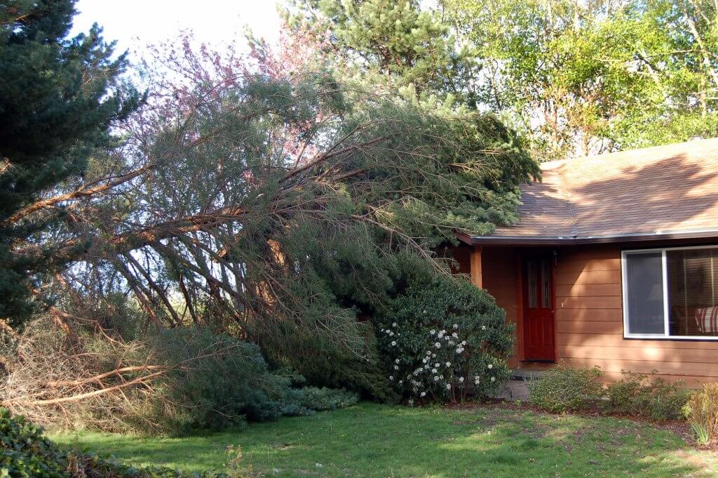 a house with a fallen tree in front of it
