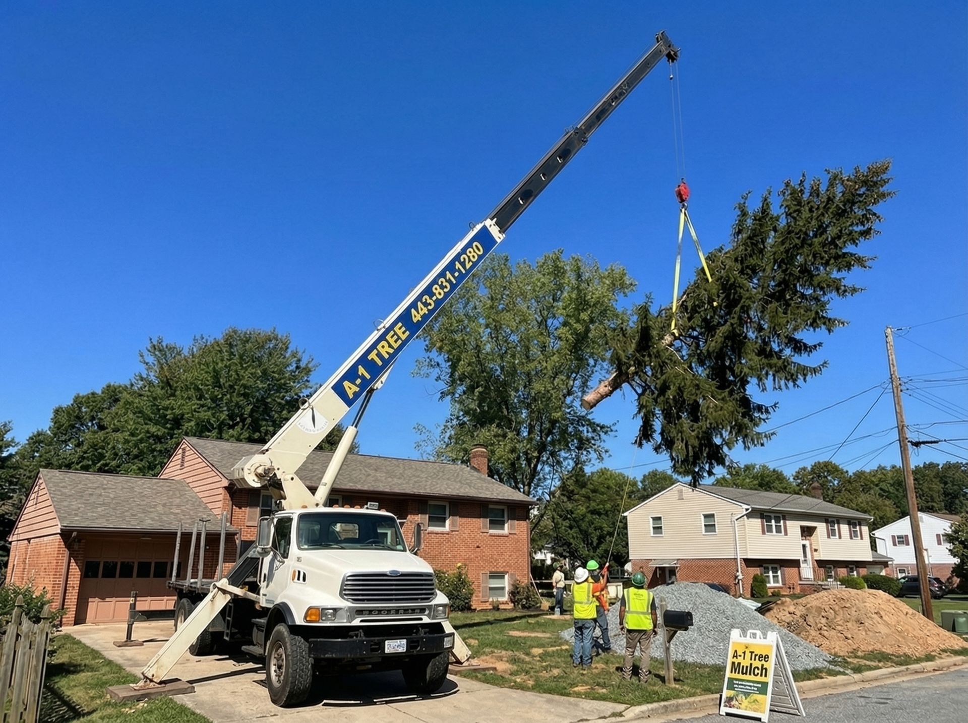 Crane tree removal sectional cut Baltimore County
