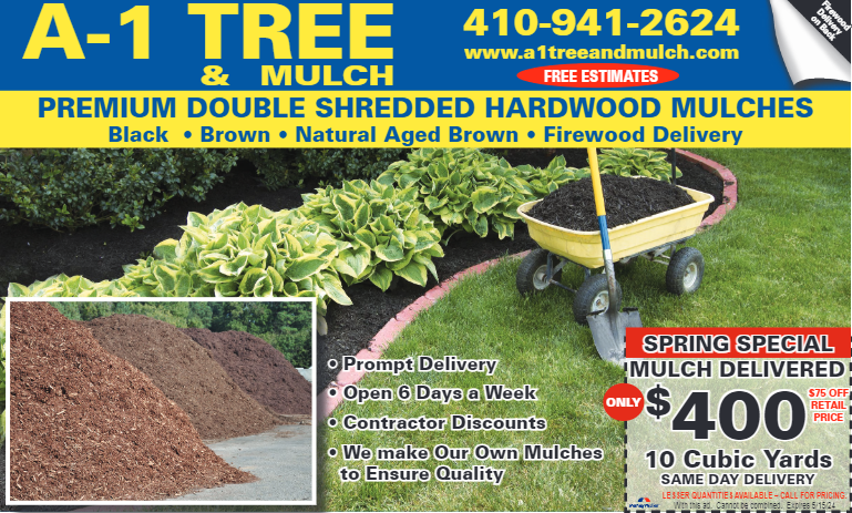 Expert arborist in Baltimore explains the Fall Mulch Special