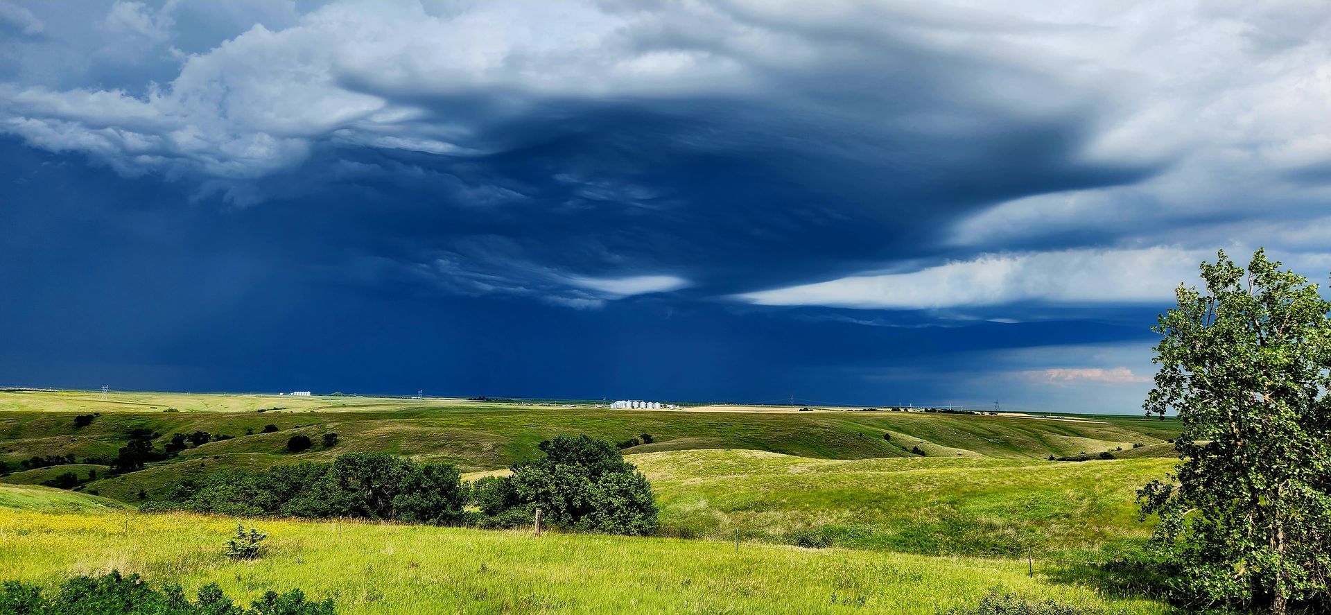 Chasen Walter That One Missed Us