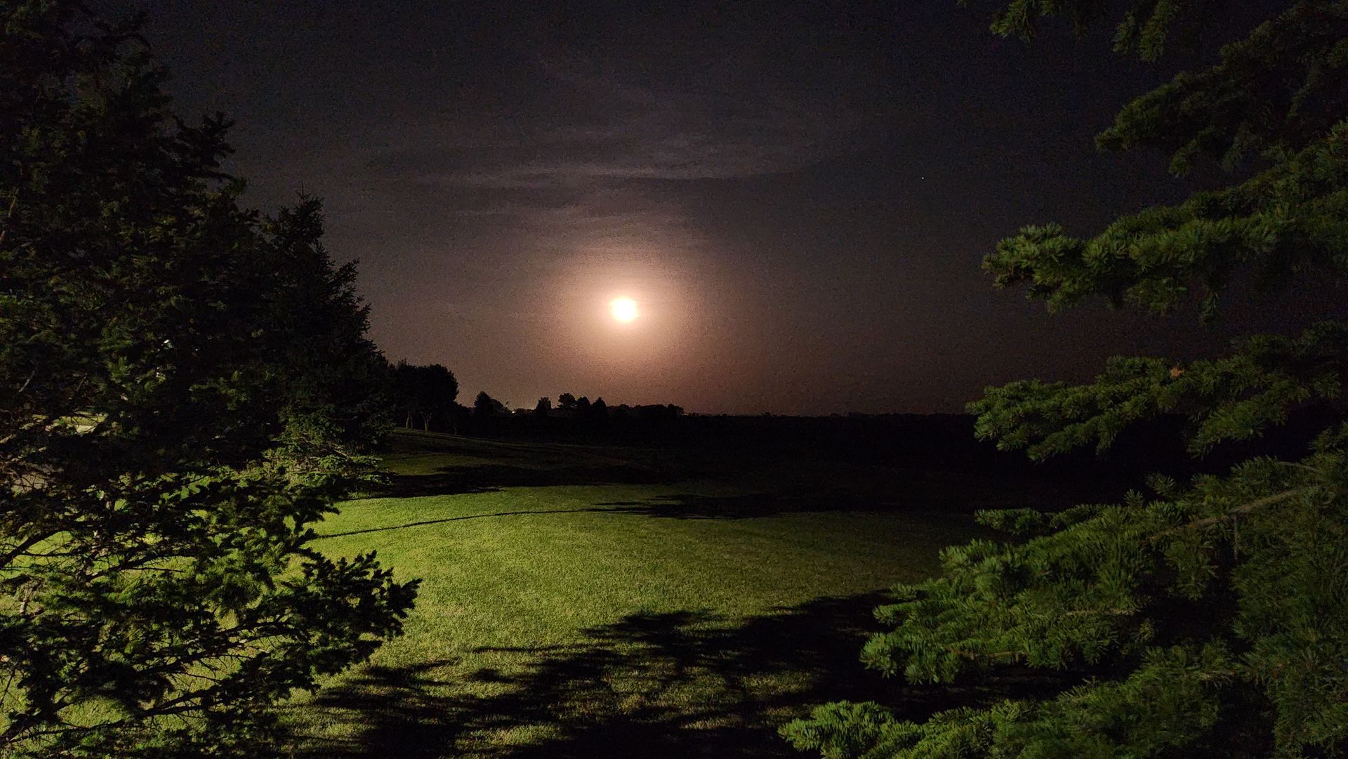 Chasen Walter Purple & Green