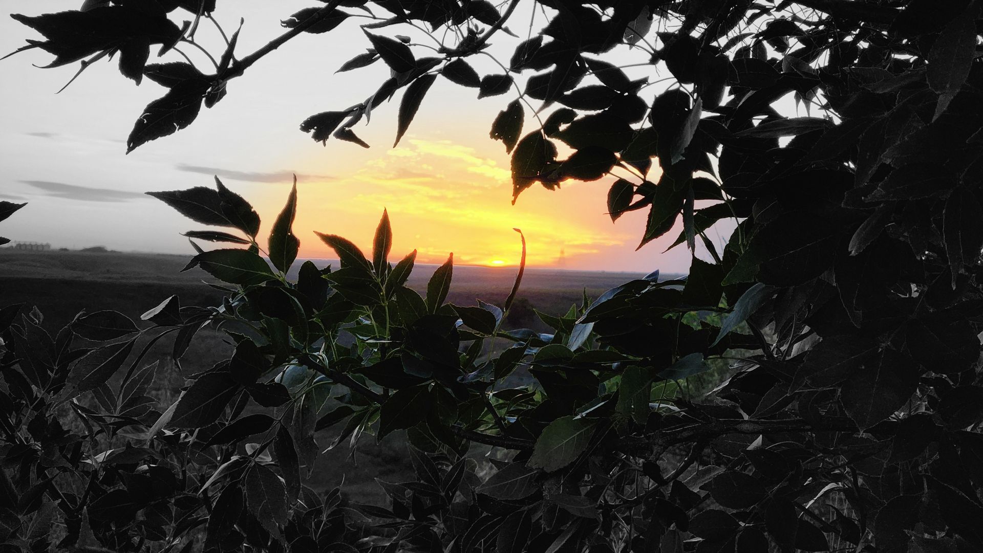 Chasen Walter Sneak Peak