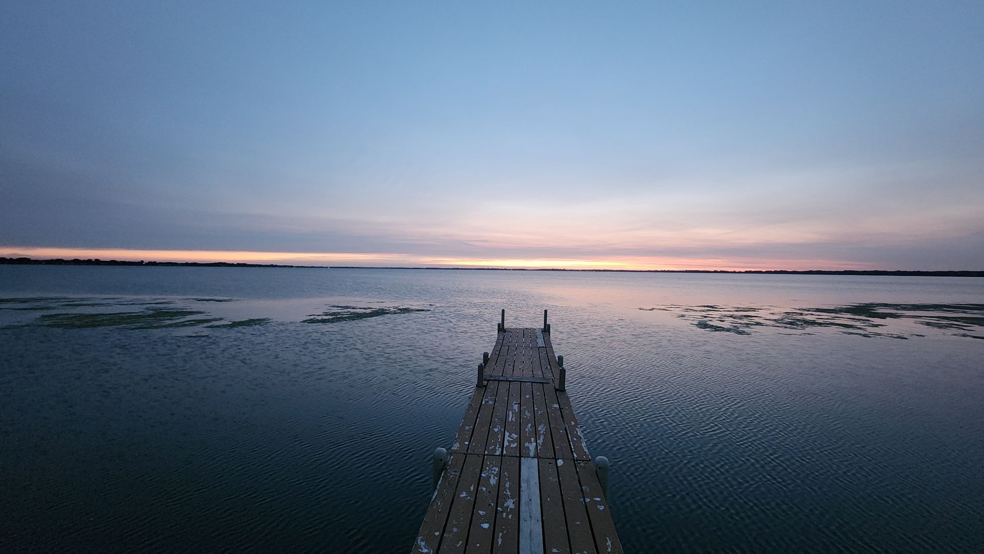 A weedy morning on Lake Poinsett.