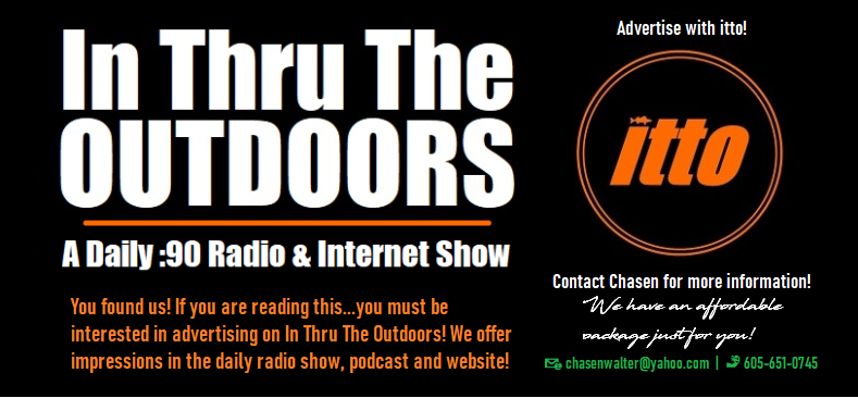 In Thru The Outdoors