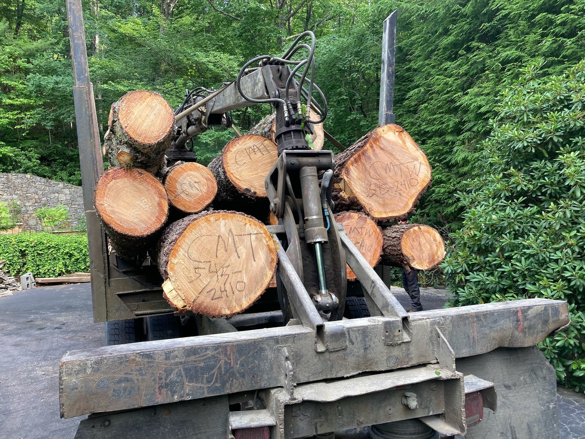 Truck bed loaded with logs, with a crane arm. Dark grey metal with cut timber against green foliage.