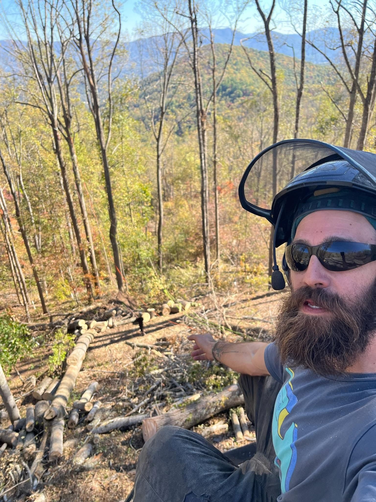 Man with beard and safety gear points at fallen logs in a wooded area with mountain views.