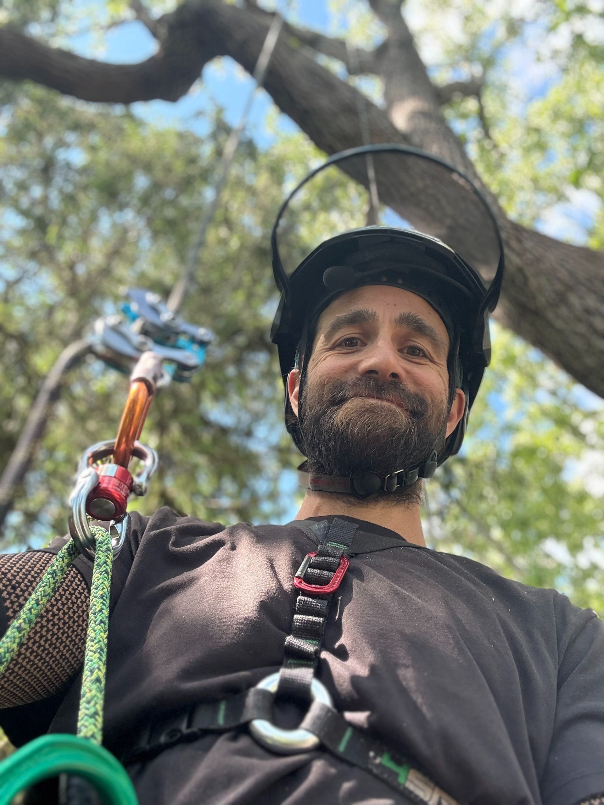 Man in a tree with safety gear, smiling, looking at the camera.