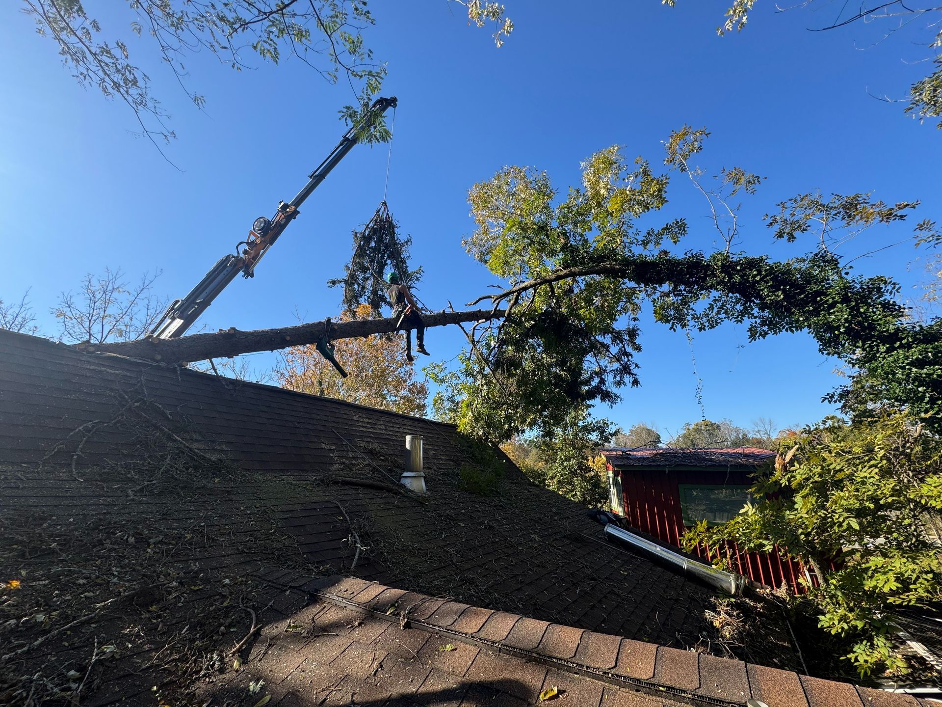 A tree is being removed from a roof with a crane against a clear blue sky.