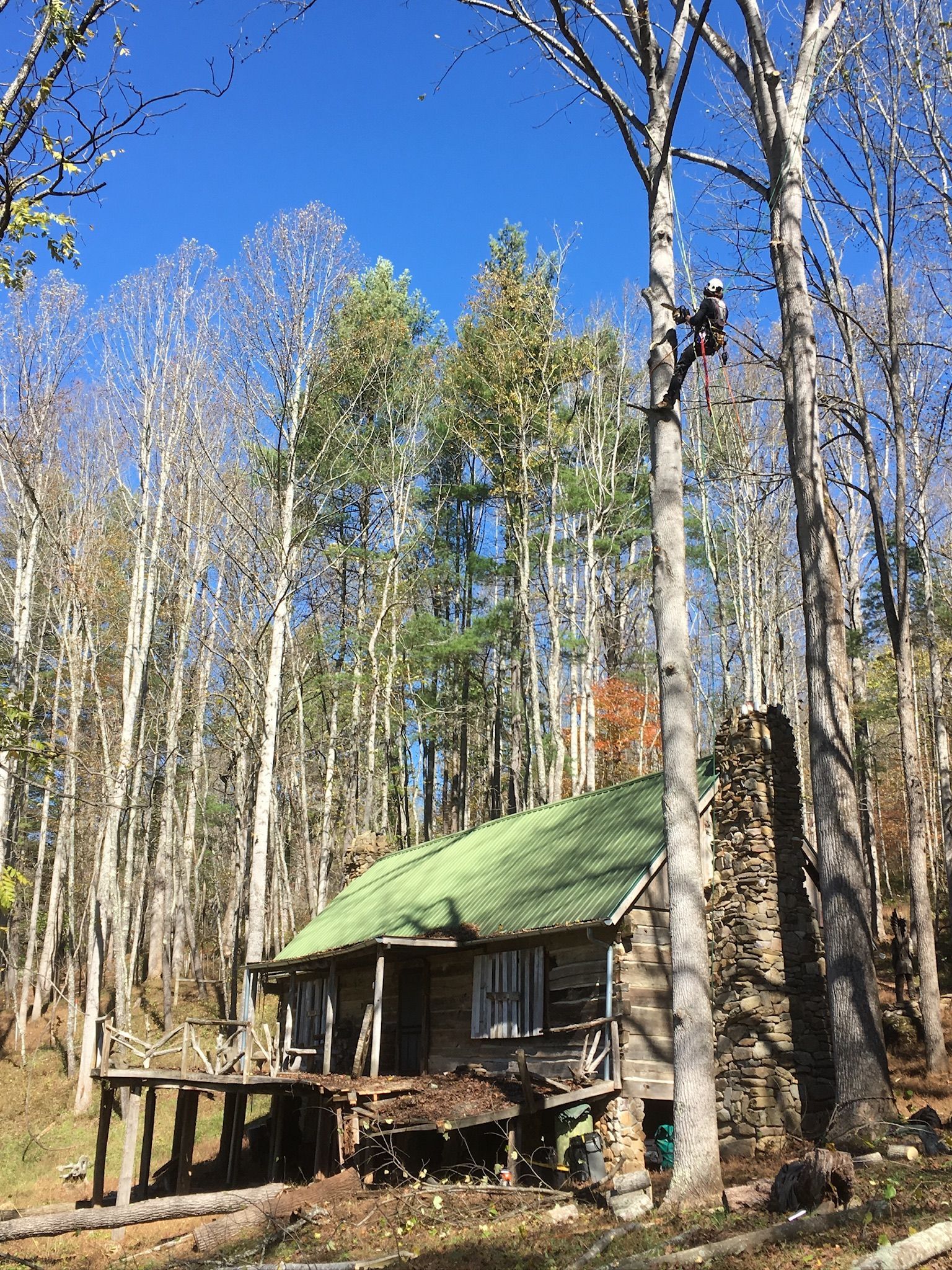 Cabin in the woods with person trimming a tall tree. Green roof, stone chimney, blue sky, and fall foliage.