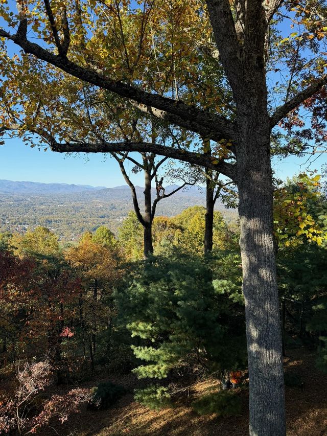 View of a distant town from a hillside; trees with fall foliage frame the scene against a blue sky.