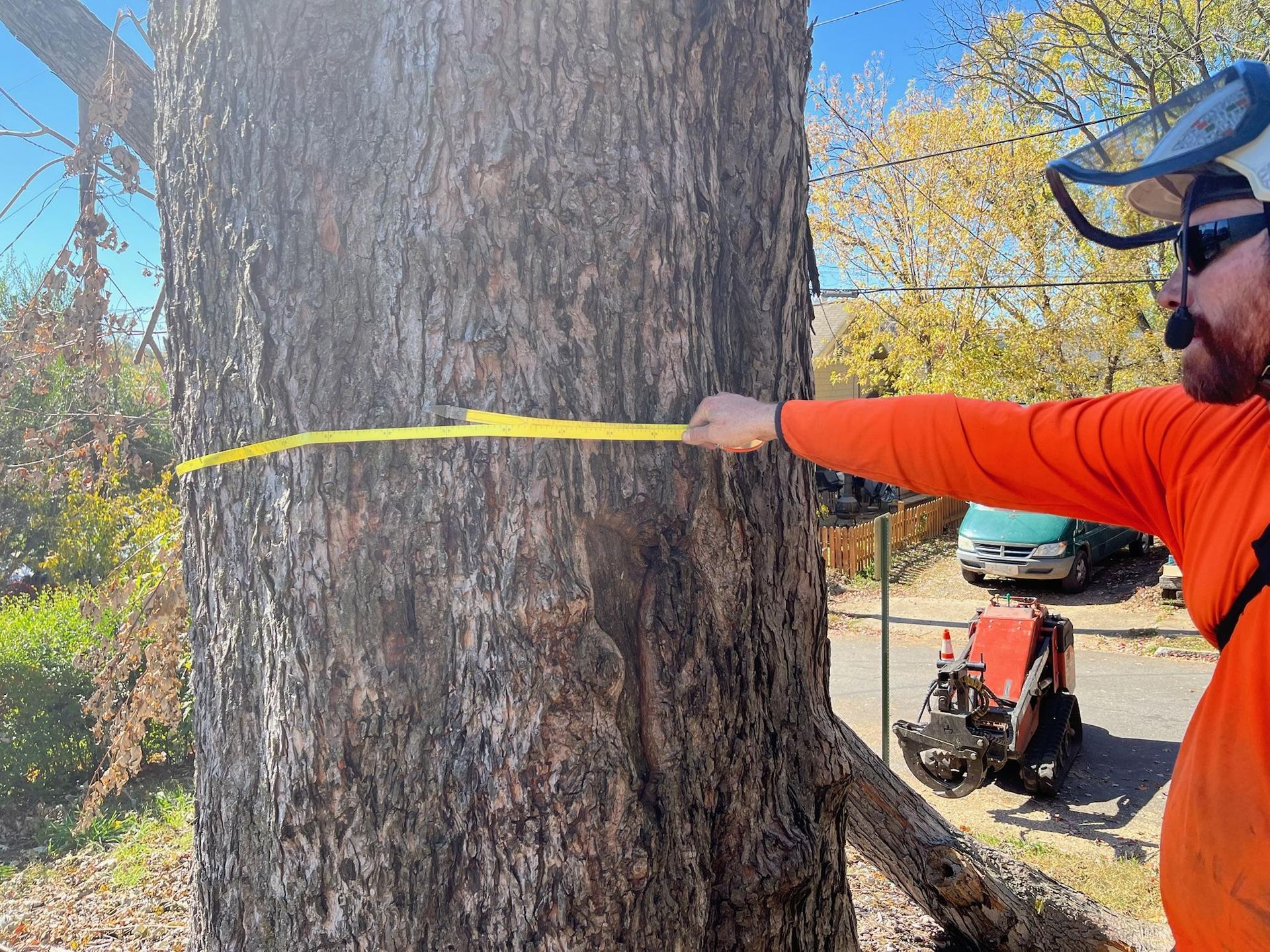 Arborist measures a tree trunk with a yellow tape in an outdoor setting.