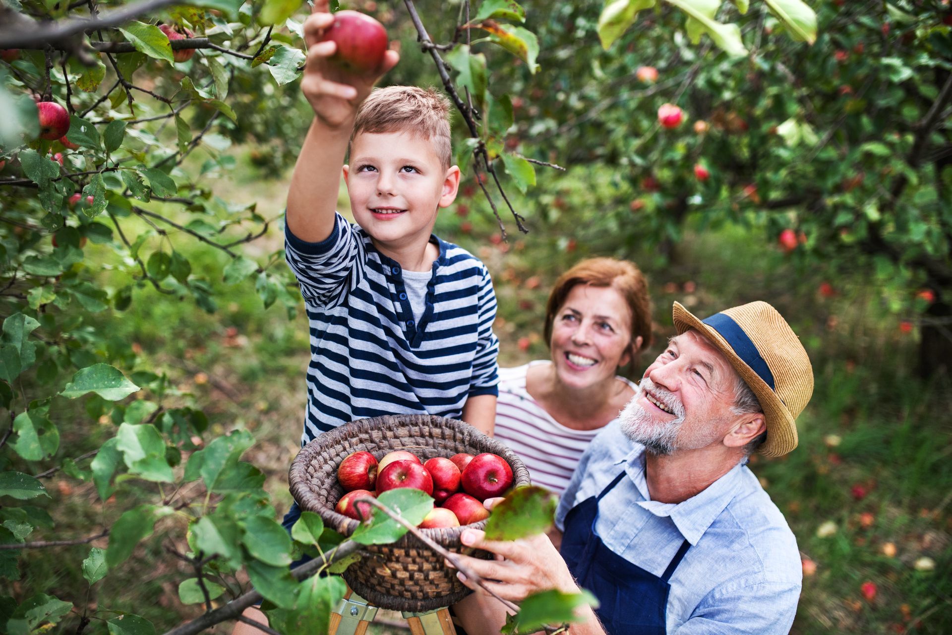 Seasonal Activities for Seniors
