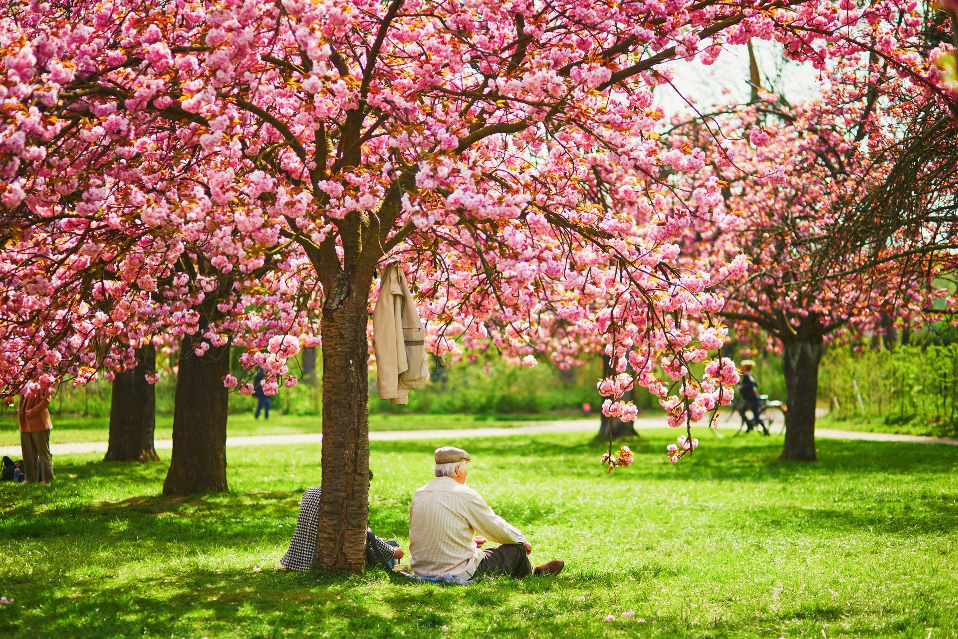 seniors enjoying spring time weather at a park
