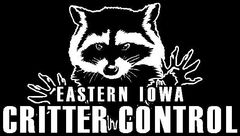 Wildlife Removal in Davenport, IA | Eastern Iowa Critter Control