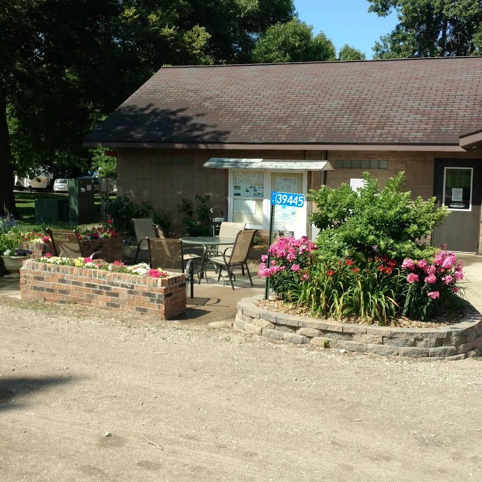 Office and plants decoration