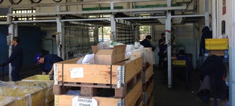 impianto  ZINCATURA MALAGODI Pieve Di Cento