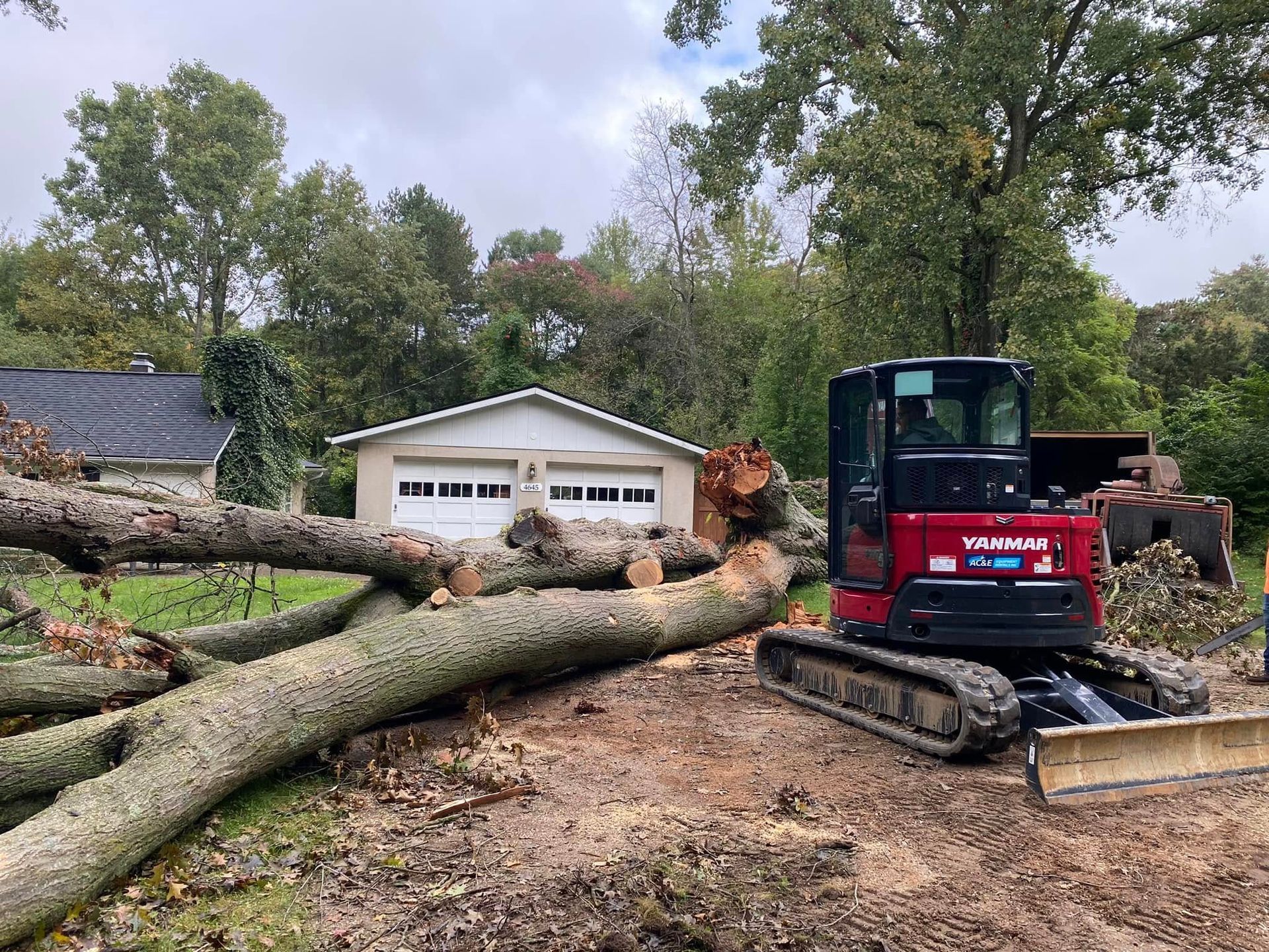 Red skid steer clearing fallen tree trunks in front of a garage in a wooded yard