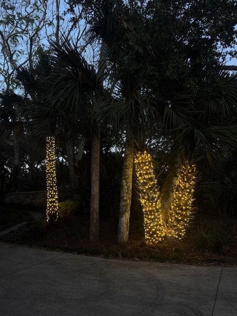 outdoor festival string lights​