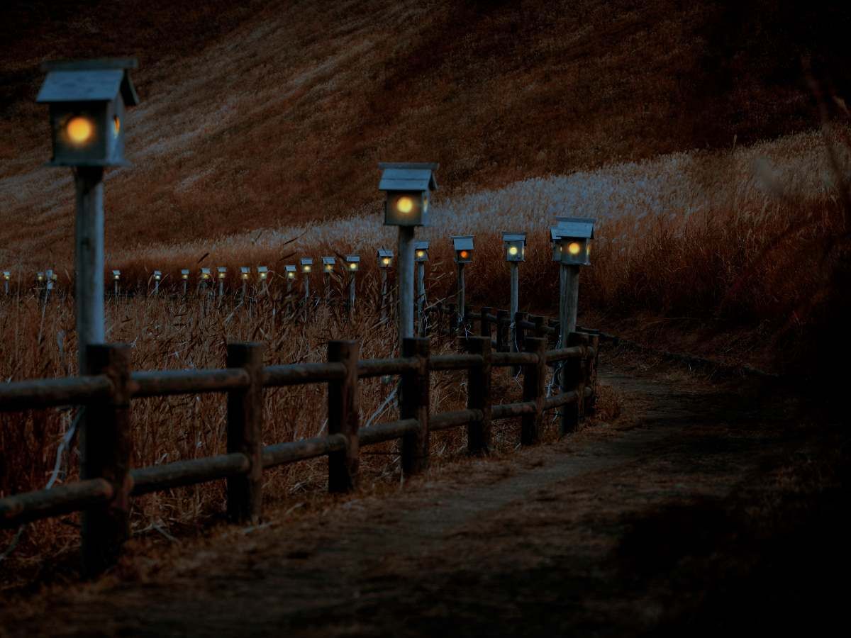 outdoor Lighting Solutions