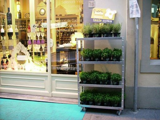 Vetrina di negozio con un scaffale con piante