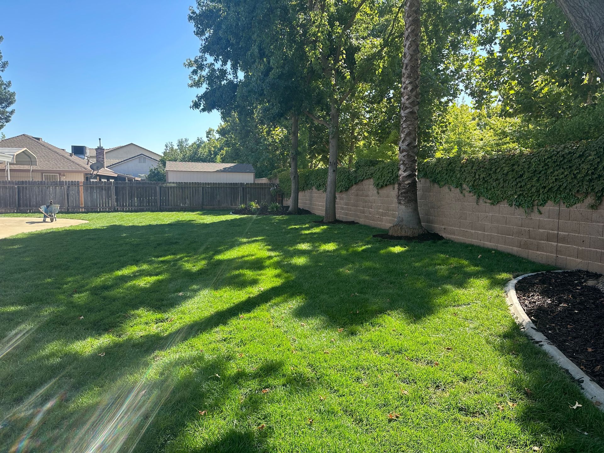 A sprinkler is spraying water on a lush green lawn.
