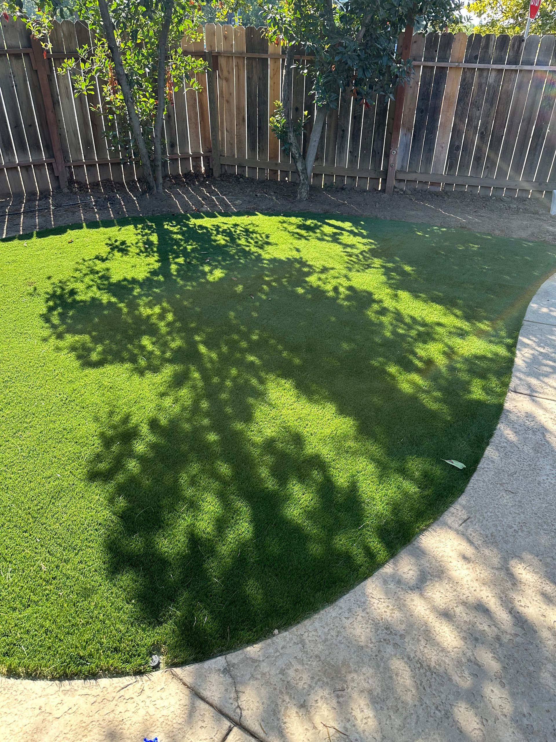 There is a shadow of a tree on the grass in the backyard.