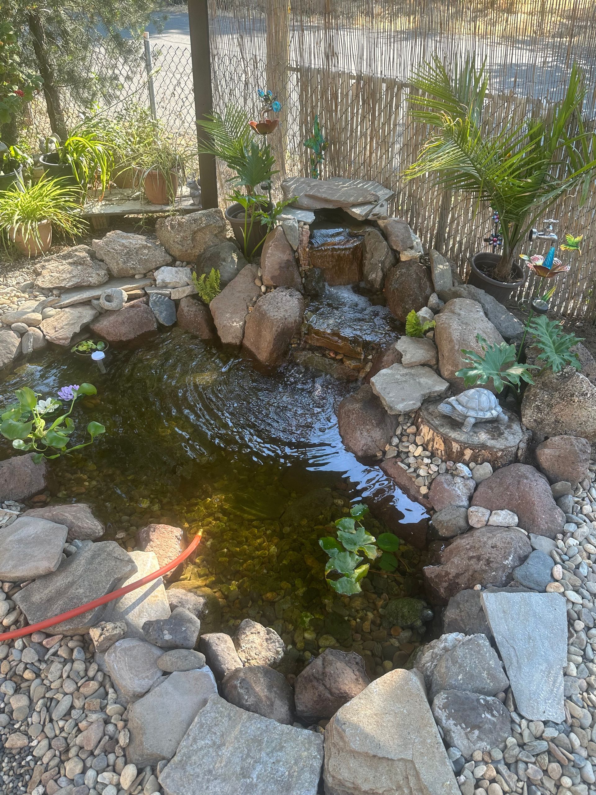 A pond surrounded by rocks and plants with a waterfall in the background.
