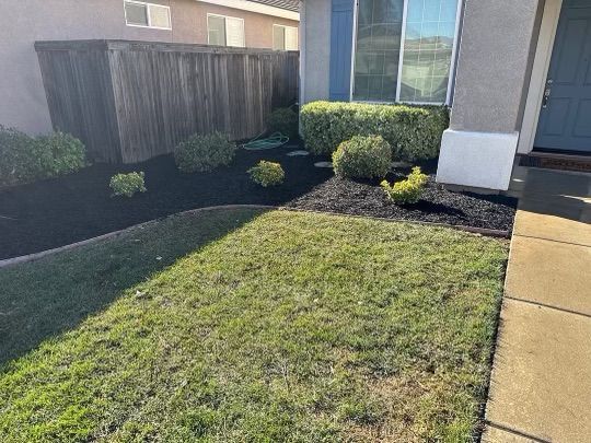 A lush green lawn in front of a house with a wooden fence.