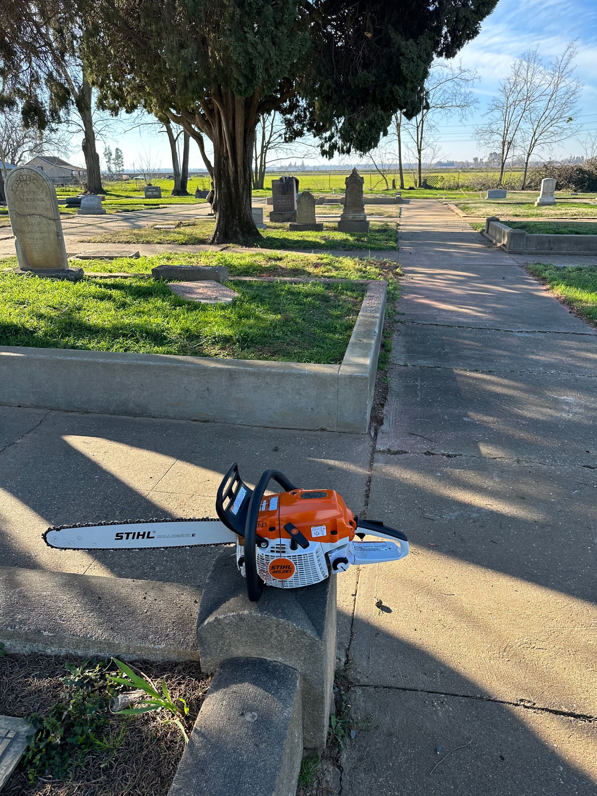 A chainsaw is sitting on the sidewalk in a cemetery.