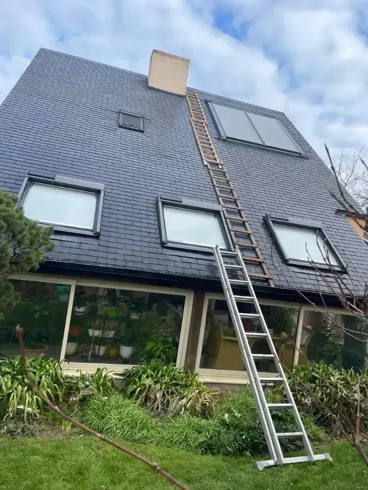 An extension ladder leans against a steep, shingled roof with several windows, skylights, and a chimney.