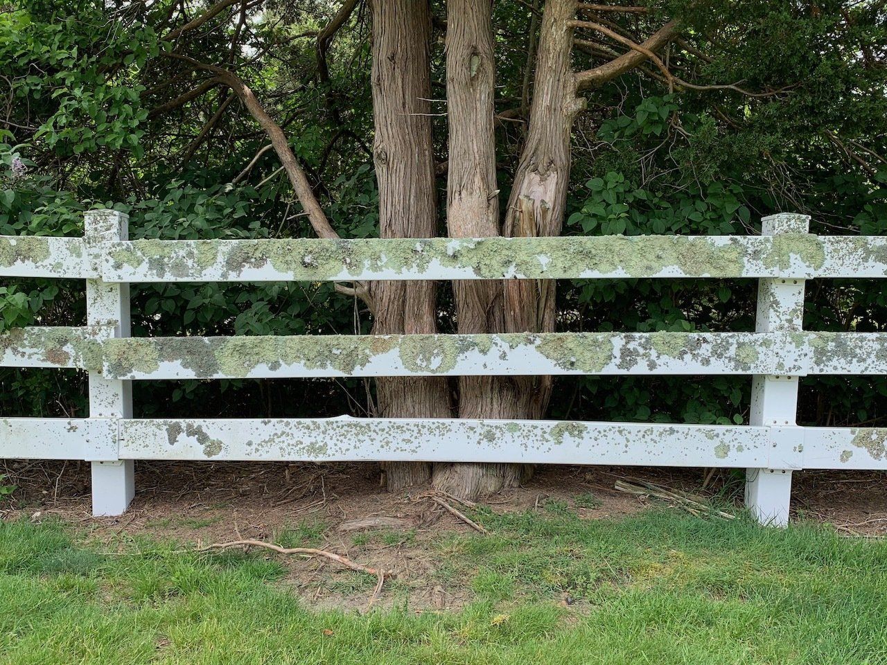 cape cod fences