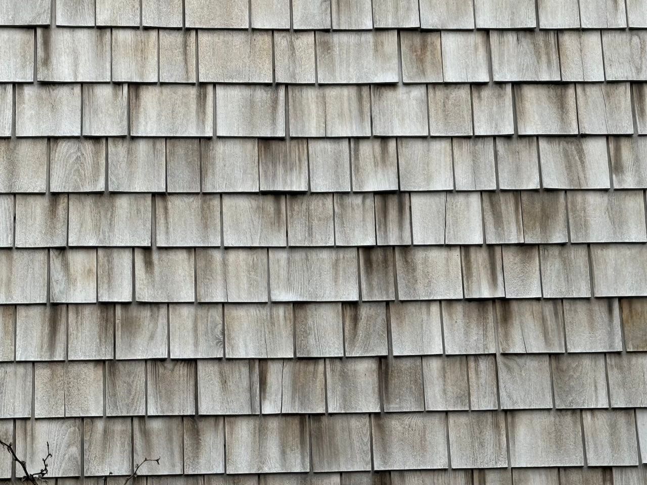 cedar shingled siding
