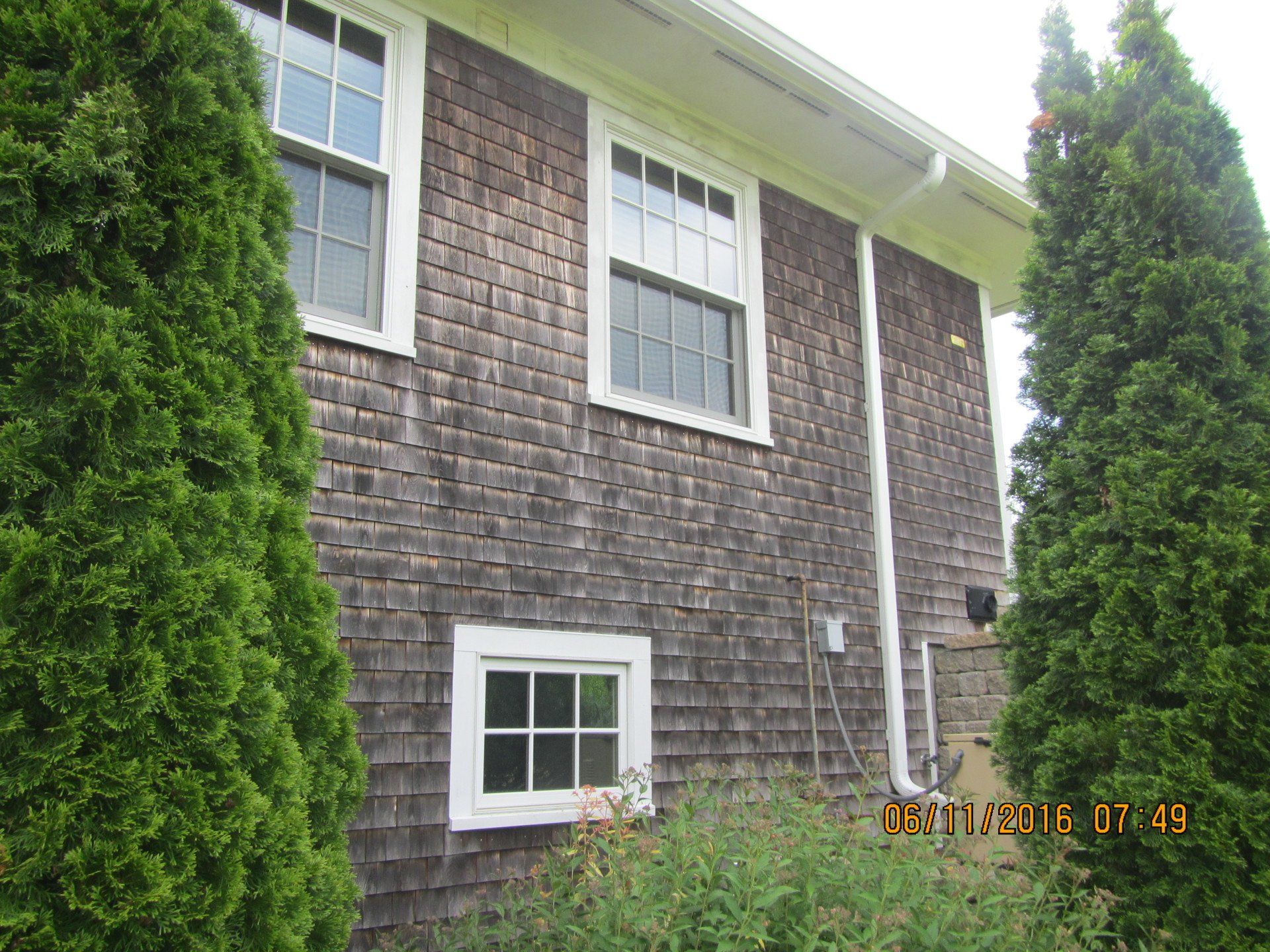 moldy cedar siding